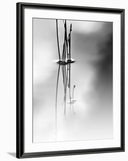 Silence-Ursula Abresch-Framed Photographic Print