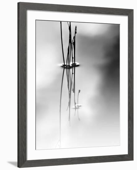 Silence-Ursula Abresch-Framed Photographic Print