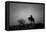 Silence-Dan Ballard-Framed Premier Image Canvas