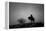 Silence-Dan Ballard-Framed Premier Image Canvas