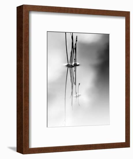 Silence-Ursula Abresch-Framed Premium Photographic Print