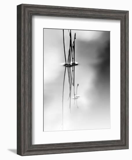 Silence-Ursula Abresch-Framed Photographic Print