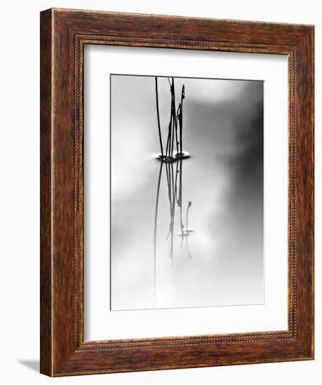 Silence-Ursula Abresch-Framed Photographic Print