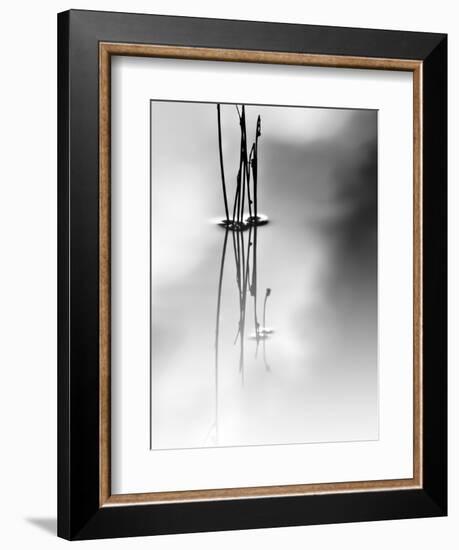 Silence-Ursula Abresch-Framed Photographic Print