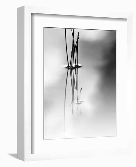 Silence-Ursula Abresch-Framed Photographic Print