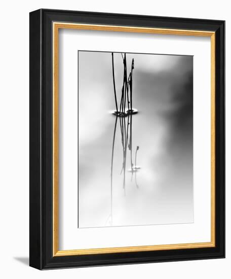 Silence-Ursula Abresch-Framed Photographic Print