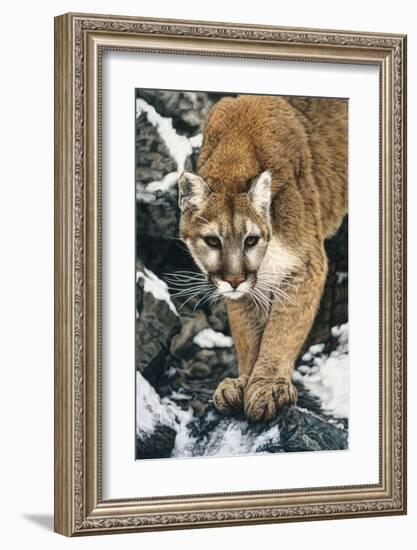 Silent Approach-Jan Henderson-Framed Art Print