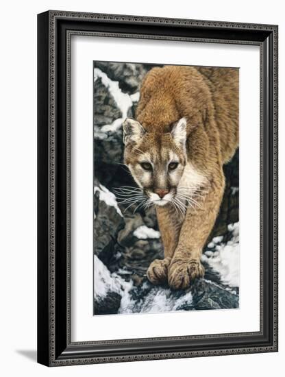 Silent Approach-Jan Henderson-Framed Art Print