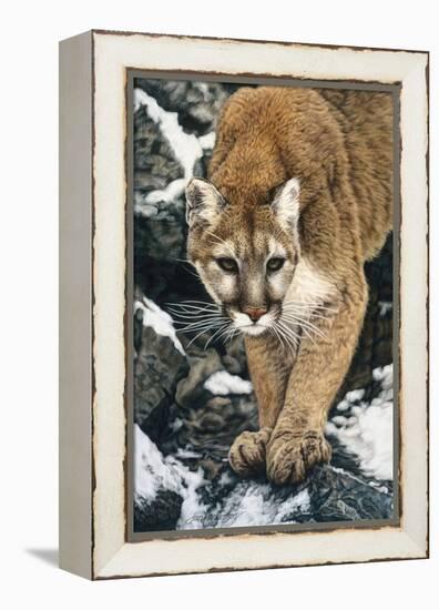 Silent Approach-Jan Henderson-Framed Stretched Canvas