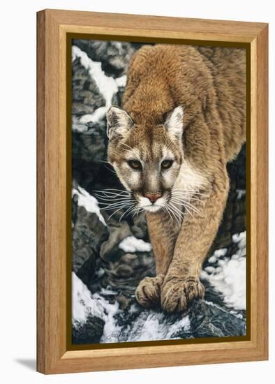 Silent Approach-Jan Henderson-Framed Stretched Canvas