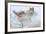 Silent Encounter-Gordon Semmens-Framed Photographic Print