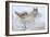 Silent Encounter-Gordon Semmens-Framed Photographic Print