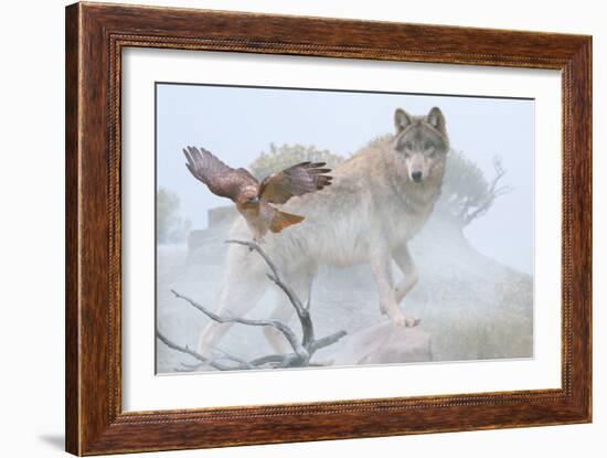 Silent Encounter-Gordon Semmens-Framed Photographic Print