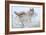 Silent Encounter-Gordon Semmens-Framed Photographic Print