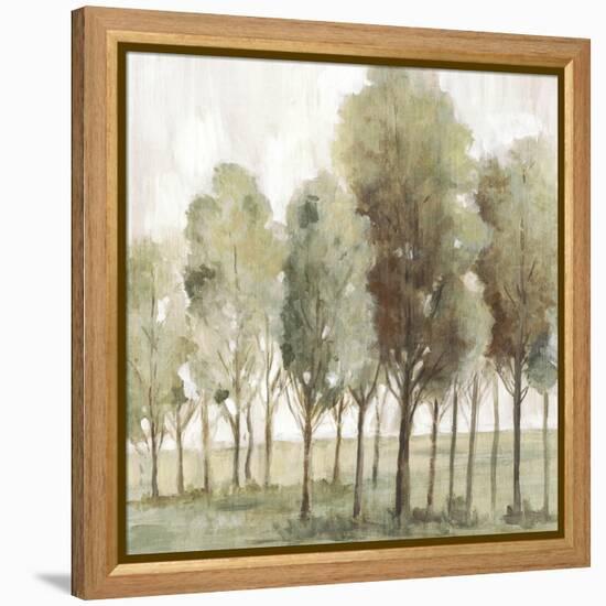 Silent Fall II-Eva Watts-Framed Stretched Canvas
