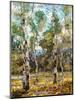 Silent Grove-Robert Moore-Mounted Art Print