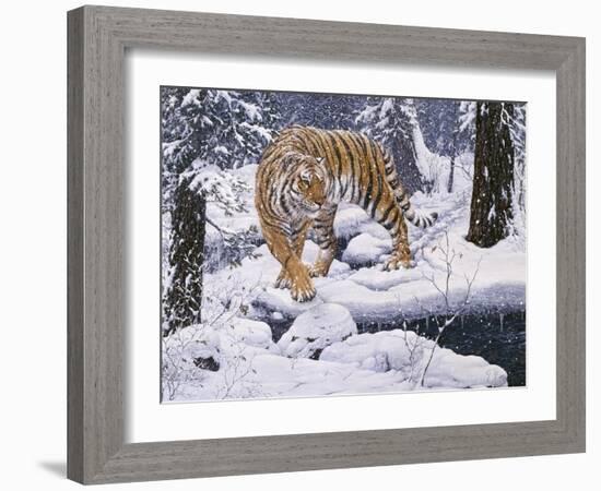 Silent Hunter- Siberian Tiger-Jeff Tift-Framed Giclee Print