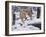 Silent Hunter- Siberian Tiger-Jeff Tift-Framed Giclee Print