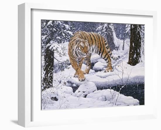 Silent Hunter- Siberian Tiger-Jeff Tift-Framed Giclee Print