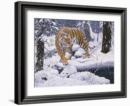 Silent Hunter- Siberian Tiger-Jeff Tift-Framed Giclee Print