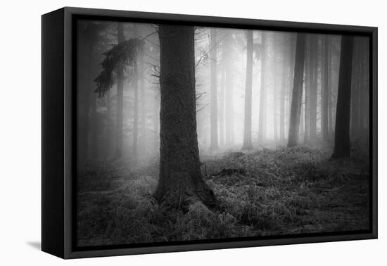 Silent Journey-David Baker-Framed Premier Image Canvas