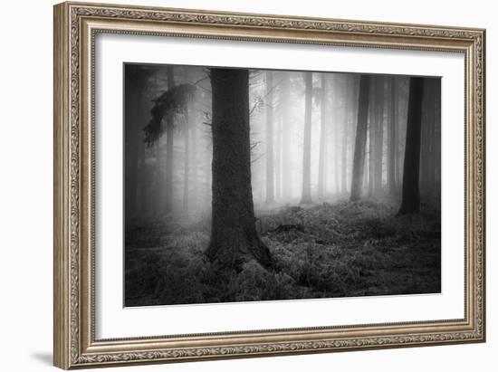 Silent Journey-David Baker-Framed Photographic Print