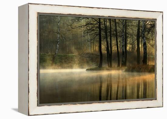 Silent Light.-Agnieszka Jankowska-Framed Premier Image Canvas