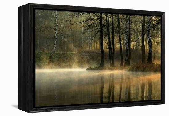 Silent Light.-Agnieszka Jankowska-Framed Premier Image Canvas