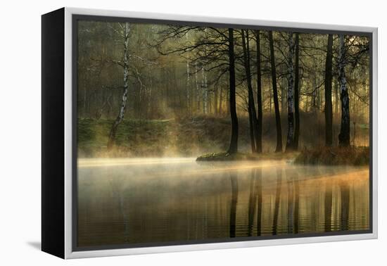 Silent Light.-Agnieszka Jankowska-Framed Premier Image Canvas