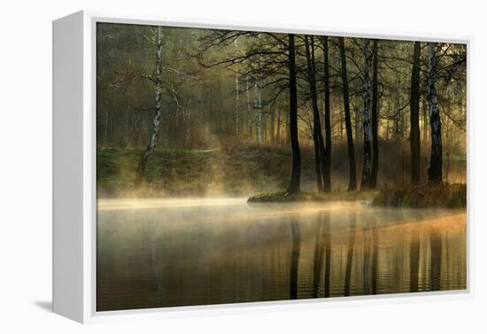 Silent Light.-Agnieszka Jankowska-Framed Premier Image Canvas