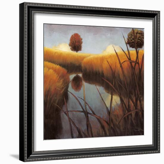 Silent Meadow II-James Wiens-Framed Art Print