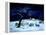 Silent Night, Holy Night, 1995-Magdolna Ban-Framed Premier Image Canvas