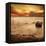 Silent Rock-Irene Suchocki-Framed Premier Image Canvas