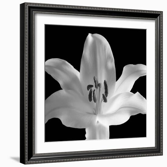 Silent Sensual Lilly, 2006-Hiroyuki Arakawa-Framed Photographic Print