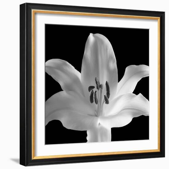 Silent Sensual Lilly, 2006-Hiroyuki Arakawa-Framed Photographic Print