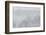 Silent Stallions-Doug Chinnery-Framed Photographic Print