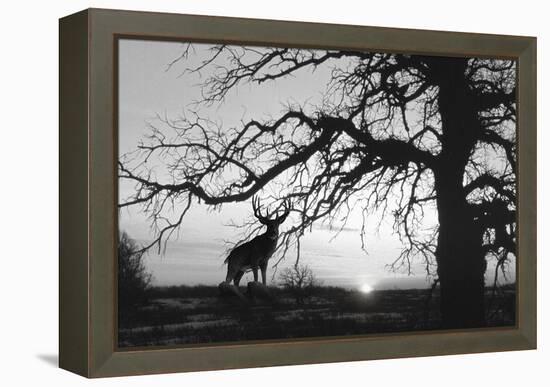 Silhouette 2-Gordon Semmens-Framed Premier Image Canvas