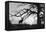 Silhouette 2-Gordon Semmens-Framed Premier Image Canvas