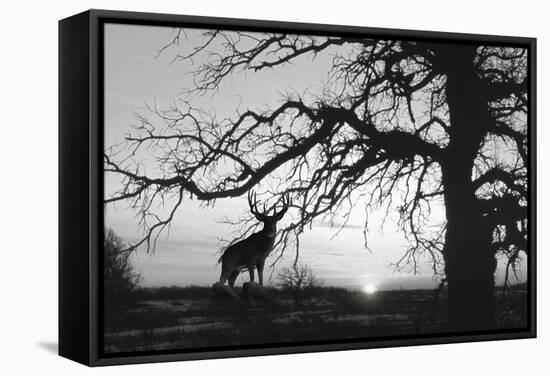 Silhouette 2-Gordon Semmens-Framed Premier Image Canvas