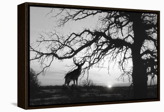 Silhouette 2-Gordon Semmens-Framed Premier Image Canvas