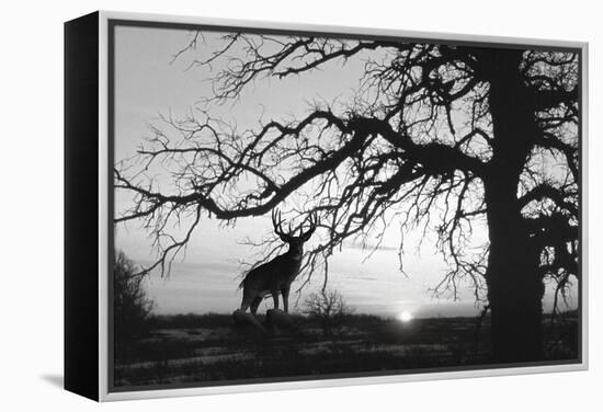 Silhouette 2-Gordon Semmens-Framed Premier Image Canvas