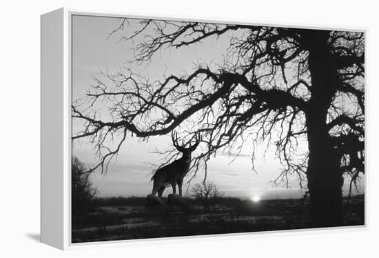 Silhouette 2-Gordon Semmens-Framed Premier Image Canvas