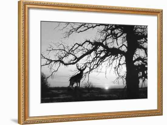 Silhouette 2-Gordon Semmens-Framed Photographic Print