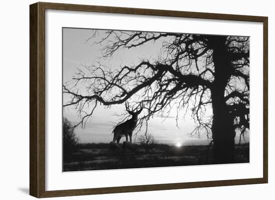 Silhouette 2-Gordon Semmens-Framed Photographic Print