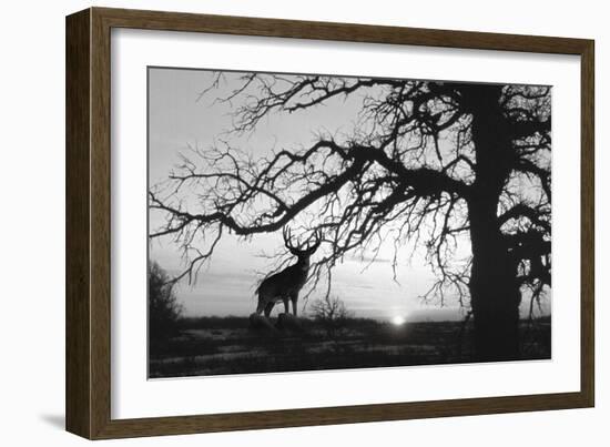 Silhouette 2-Gordon Semmens-Framed Photographic Print