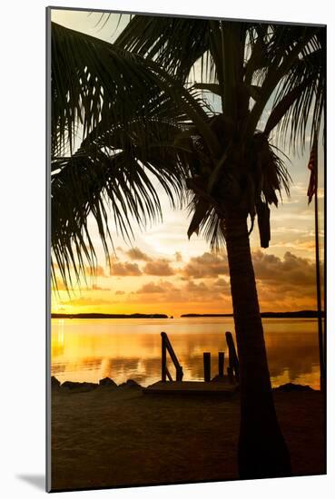 Silhouette at Sunset - Florida-Philippe Hugonnard-Mounted Premium Photographic Print