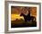 Silhouette Cowboy with Horse in the Sunset-volrab vaclav-Framed Photographic Print