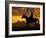 Silhouette Cowboy with Horse in the Sunset-volrab vaclav-Framed Photographic Print