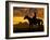 Silhouette Cowboy with Horse in the Sunset-volrab vaclav-Framed Photographic Print