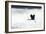 Silhouette Flight-Staffan Widstrand-Framed Giclee Print